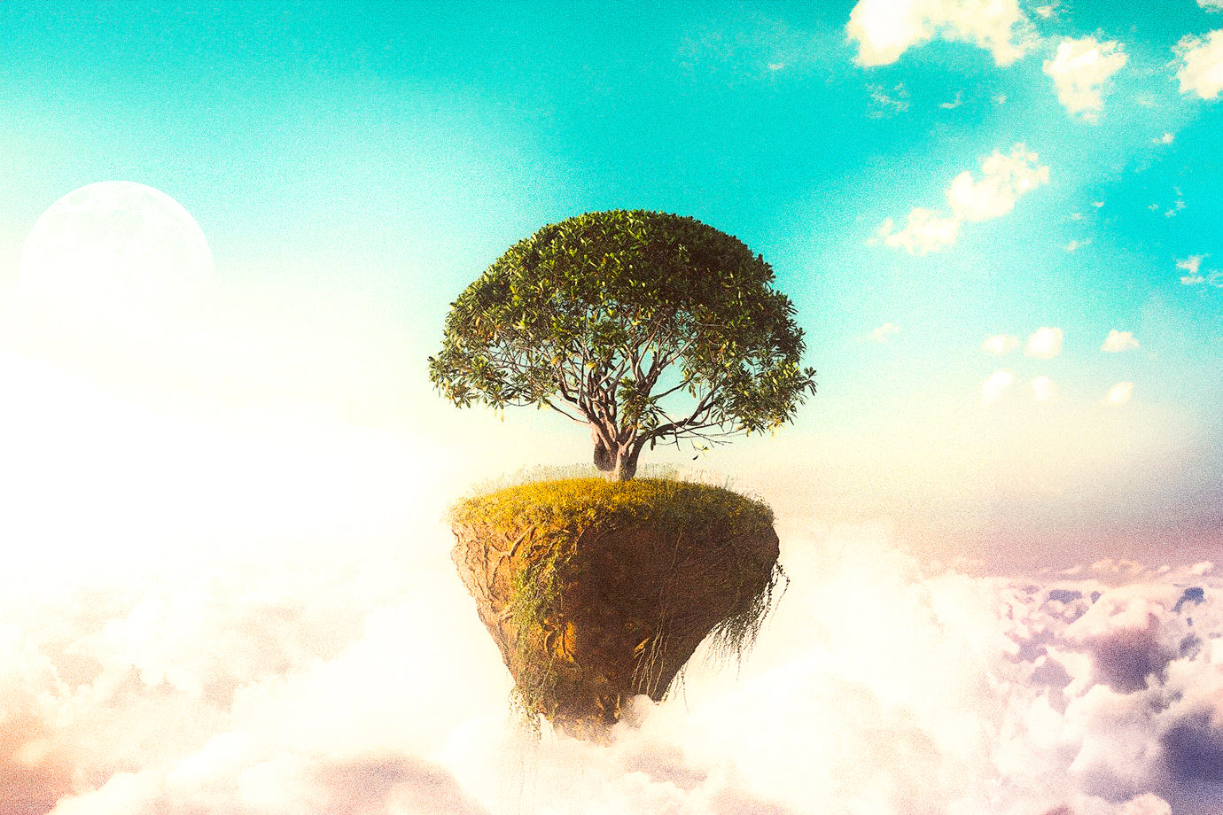 Cloud Crew Socks (TEST)